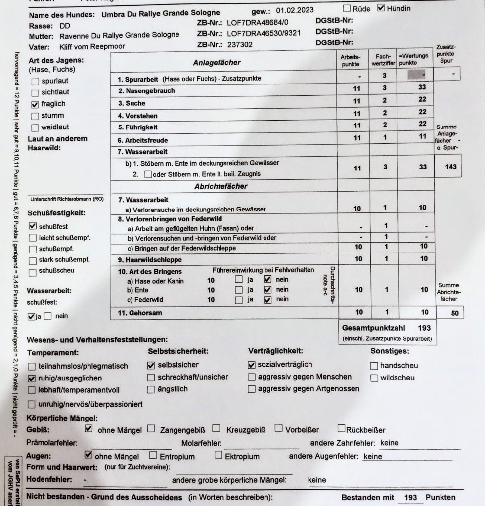 Du Rallye Grande Sologne - Umbra HPZ 193 Points 